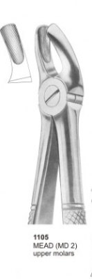  MEAD (MD 2) upper molars 